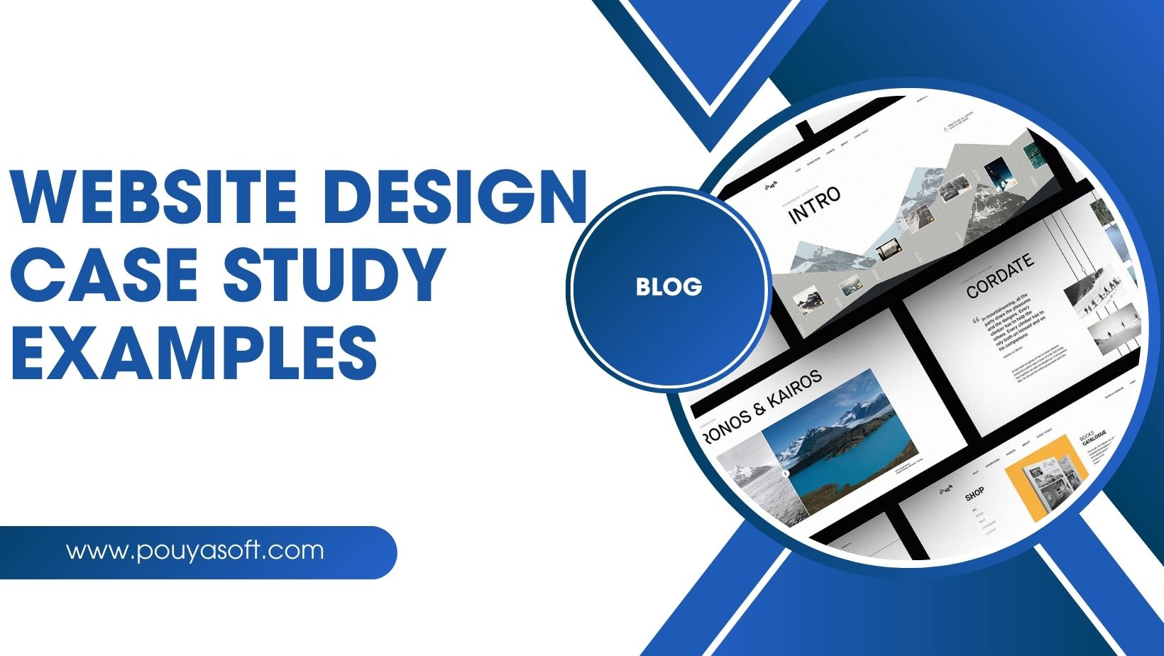 website design case study examples - pouyasoft