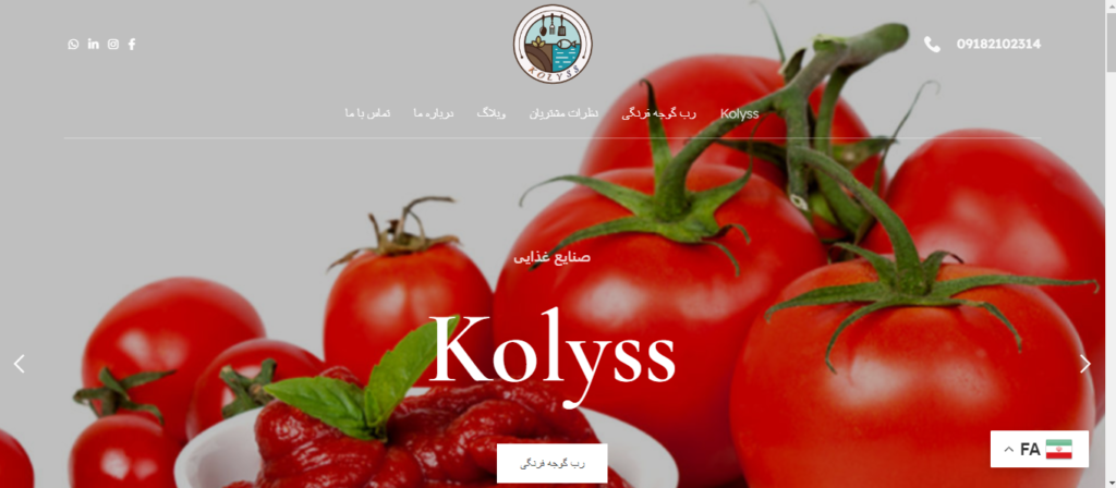 kolyss- commercial sample site project pouyasoft
